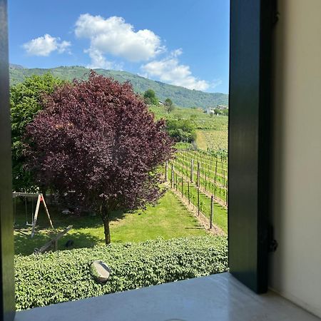 Casa Vacanze Ricca Vigna Valdobbiadene Eksteriør billede
