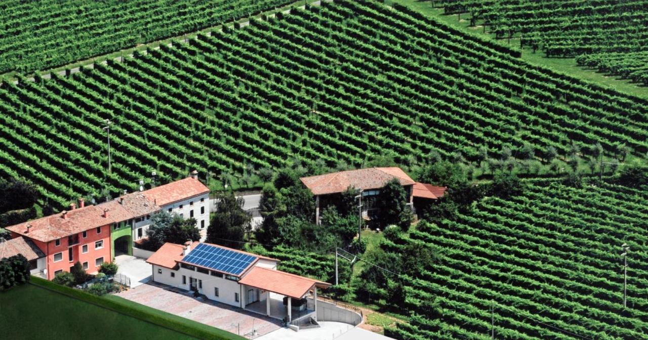 Casa Vacanze Ricca Vigna Valdobbiadene Eksteriør billede