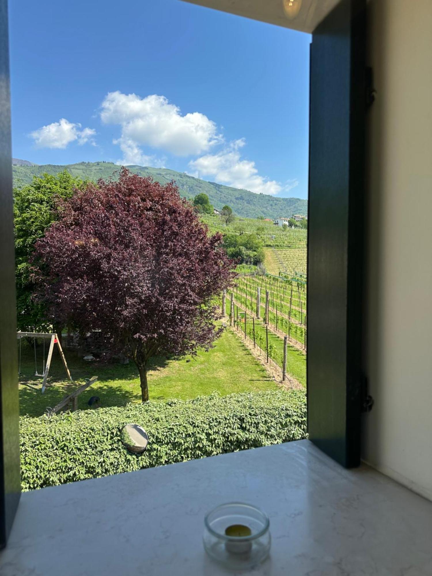 Casa Vacanze Ricca Vigna Valdobbiadene Eksteriør billede